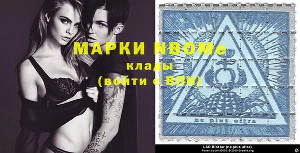 амф Гатчина