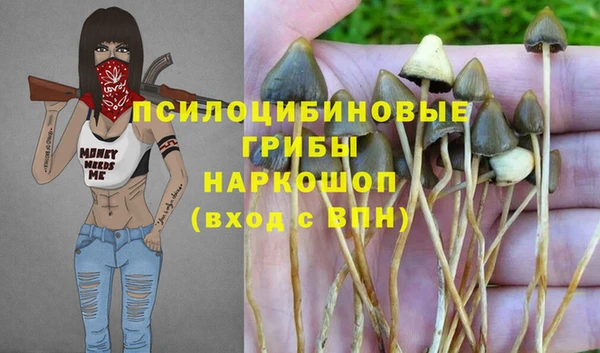 дистиллят марихуана Новозыбков
