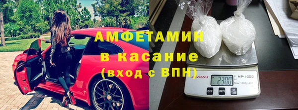 сатива Галич