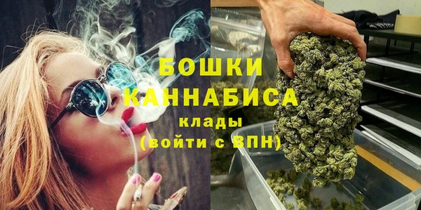 амф Гатчина
