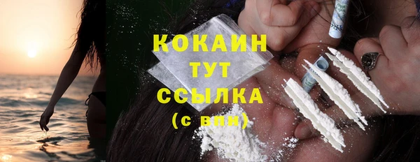 сатива Галич