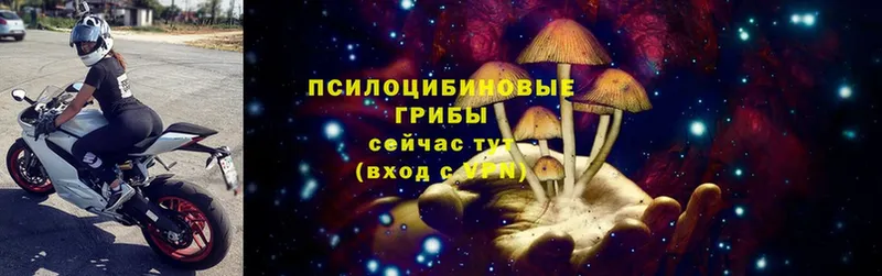 omg онион  Семикаракорск  Псилоцибиновые грибы Cubensis 