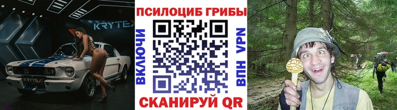 Галлюциногенные грибы Psilocybe  где купить наркотик  Семикаракорск 